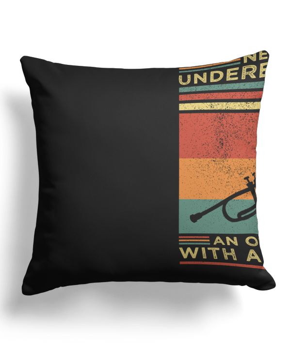 Cotton Drill Pillow (Dual Sided)