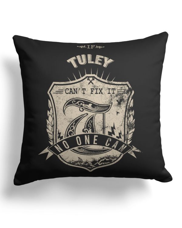 Cotton Drill Pillow (Dual Sided)