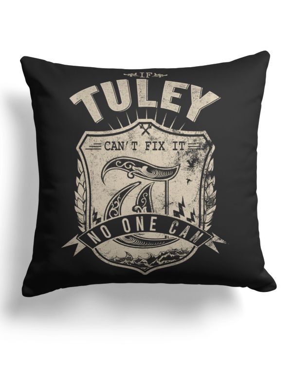 Cotton Drill Pillow (Dual Sided)
