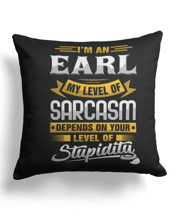 Cotton Drill Pillow (Dual Sided)