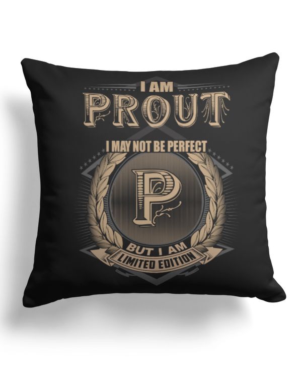 Cotton Drill Pillow (Dual Sided)