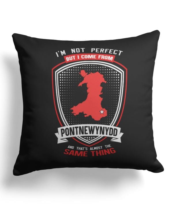 Cotton Drill Pillow (Dual Sided)
