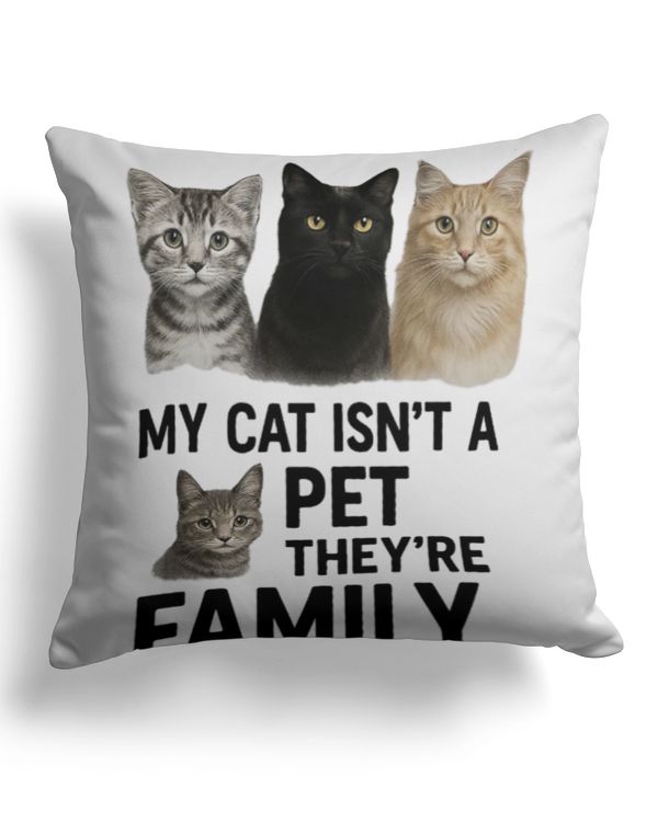 Cotton Drill Pillow (Dual Sided)