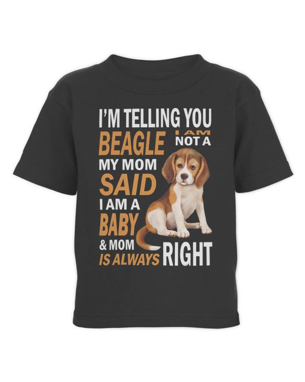 Toddler Cotton Jersey T-Shirt