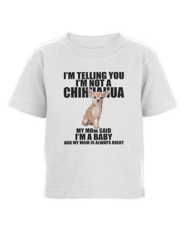 Toddler Cotton Jersey T-Shirt