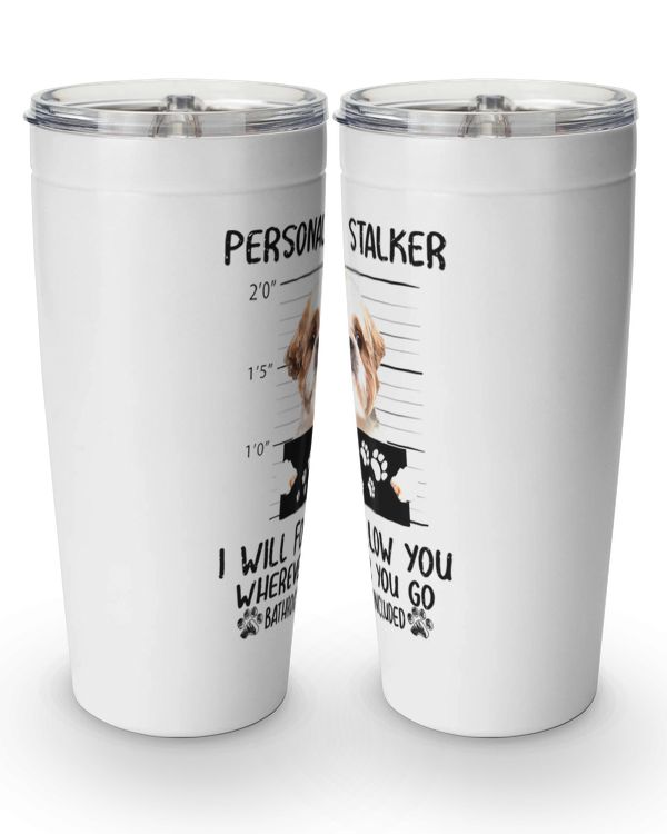 Viking Tumbler (20oz)