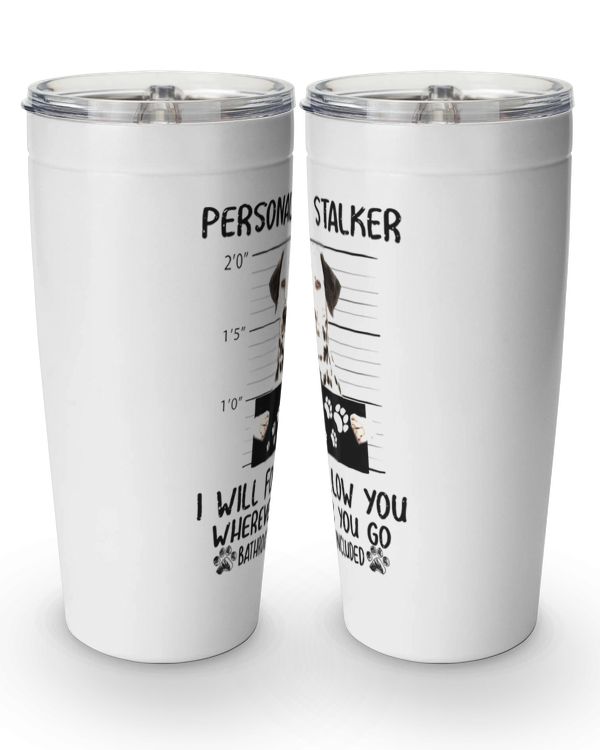 Viking Tumbler (20oz)