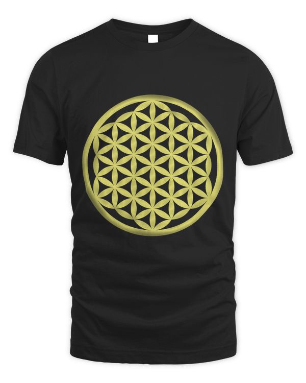 Flower Of Life Sacred Geometry Spiritual Symbol Meditation