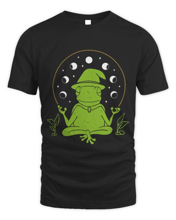 Frog Wizard Moon cycle Dark Academia Aesthetic Cottagecore