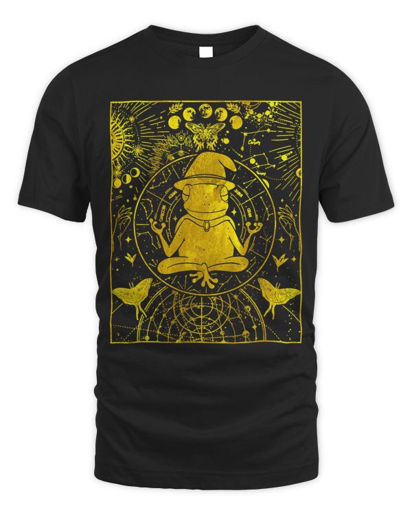 Frog Wizard Moon Dark Academia Aesthetic Cottagecore 1