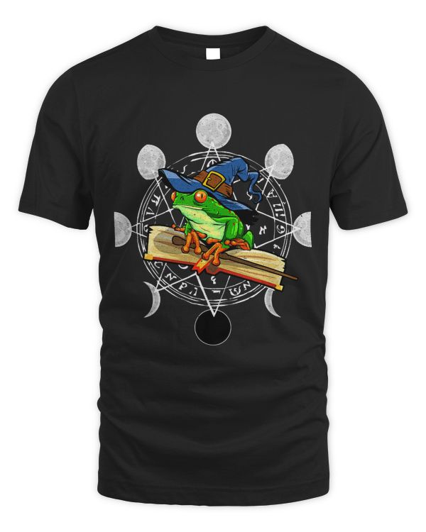 Frog Wizard Moon Dark Academia Aesthetic Cottagecore 28