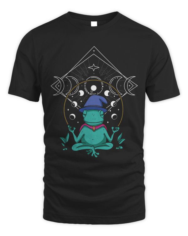 Frog Wizard Moon Dark Academia Aesthetic Cottagecore 3