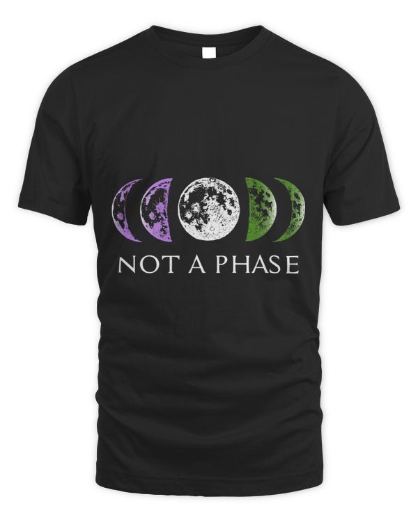 Genderqueer Pride Not a Phase Moon Design for Queer Pride