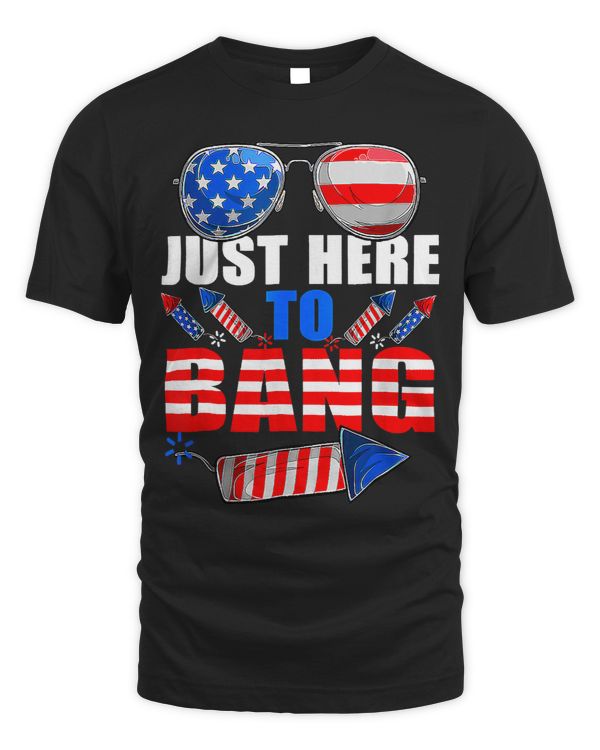 4th Of July Im Just Here To Bang Fireworks