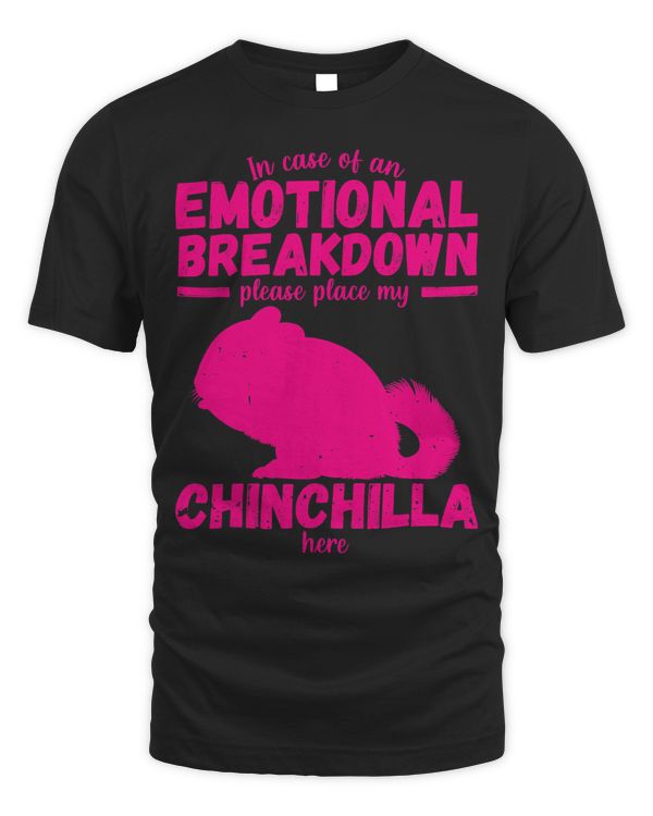 Emotional Breakdown Funny Chinchilla Saying Woman Girl