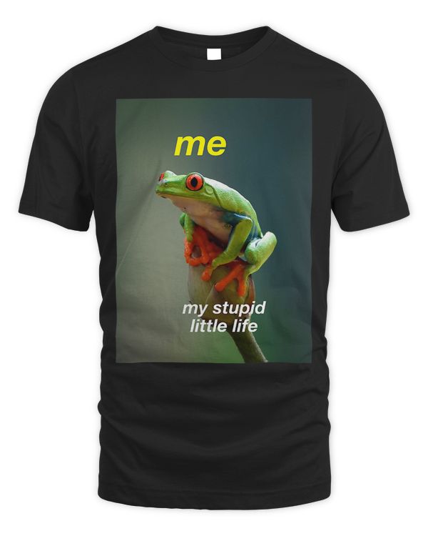 frog meme ironic sarcastic weird funny joke dumb humor fun