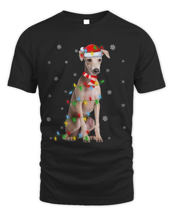 Dog Grayhound Xmas Lighting Santa Greyhound Dog Christmas
