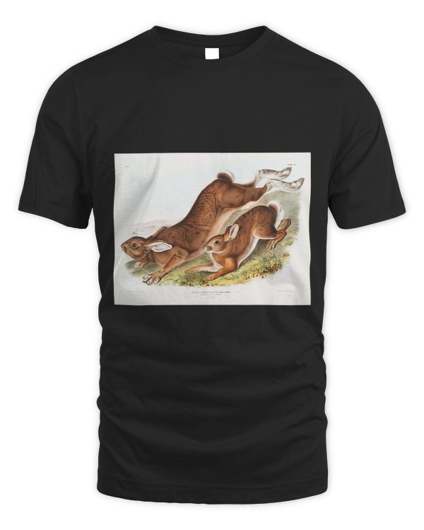 Vintage Northern Hare Animal Illustration For Men Women