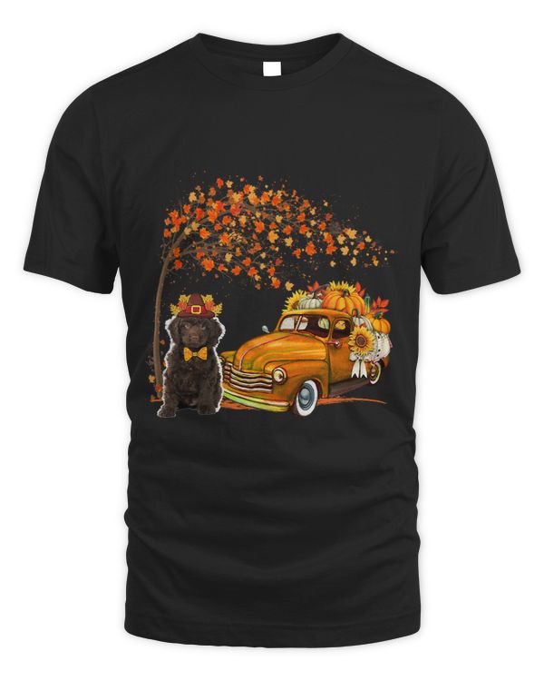 Sproodle Wearing Hat Fall Tree Pickup Truck Pumpkins