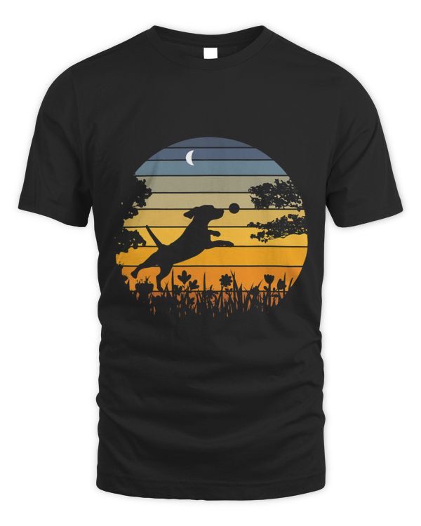 Cute Beagle Dog Sunset Garden Nature Lover