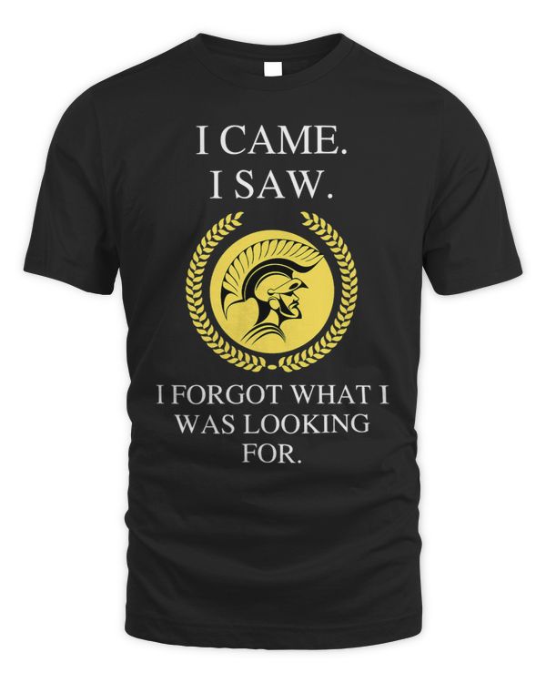 I Came I Saw I Forgot What I Was Looking For a Funny