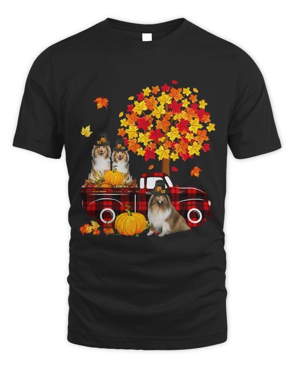 Dog Shetland Three Shetland Sheepdogs On Pickup Truck Thanksgiving Fall