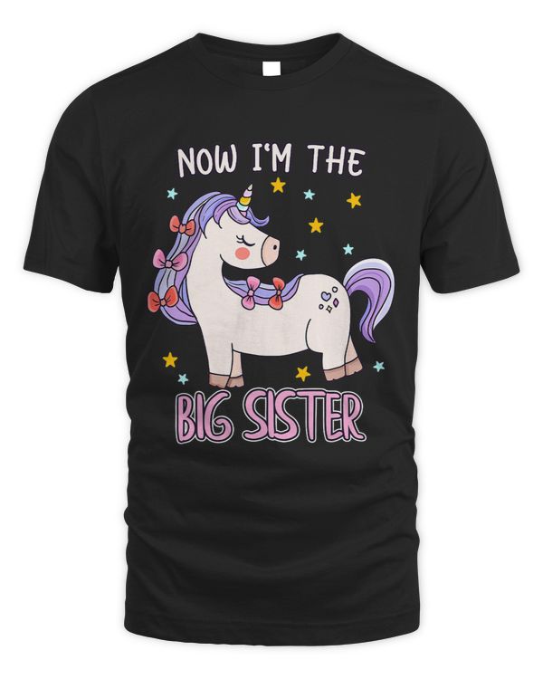 Now I am The Big Sister Unicorn Sibling Girl