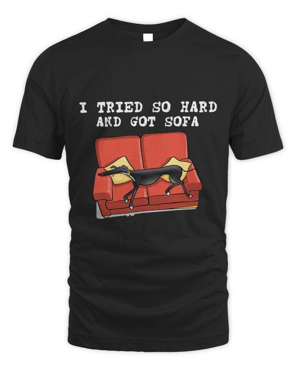 I Tried So Hard And Got Sofa Funny Dog Meme Quote Sarcastic