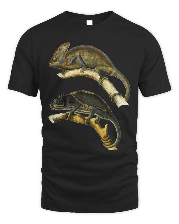 Chameleons vintage Chameleon