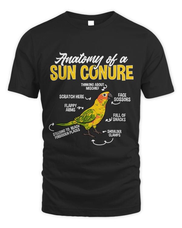 Anatomy Of A Sun Conure Parrot Bird Conure