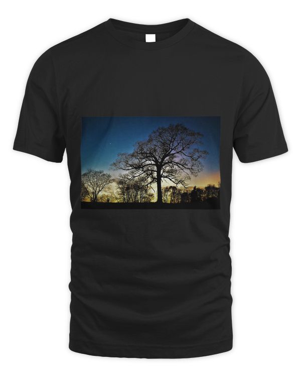 Giant Tree and Moon at Sunset