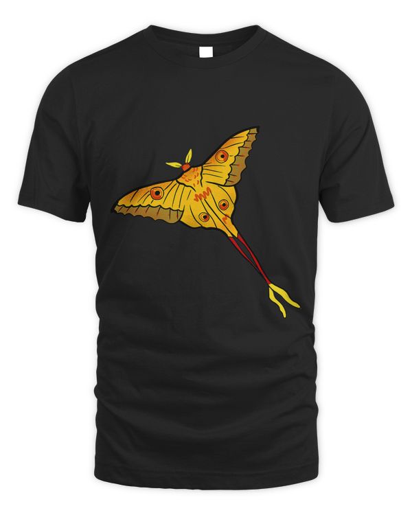 Comet Moth Design of Madagascar Island for Moth Insect Lover