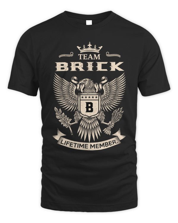 BRICK-NT-20-01