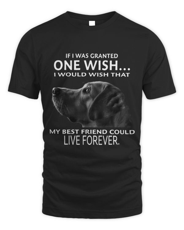 My best friend could live forever