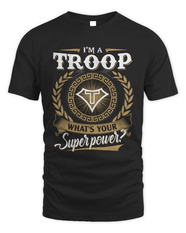 Fbus24827-Troop H33