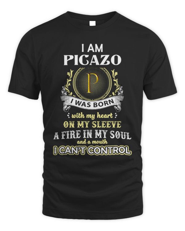 Fbus16852-Picazo H19