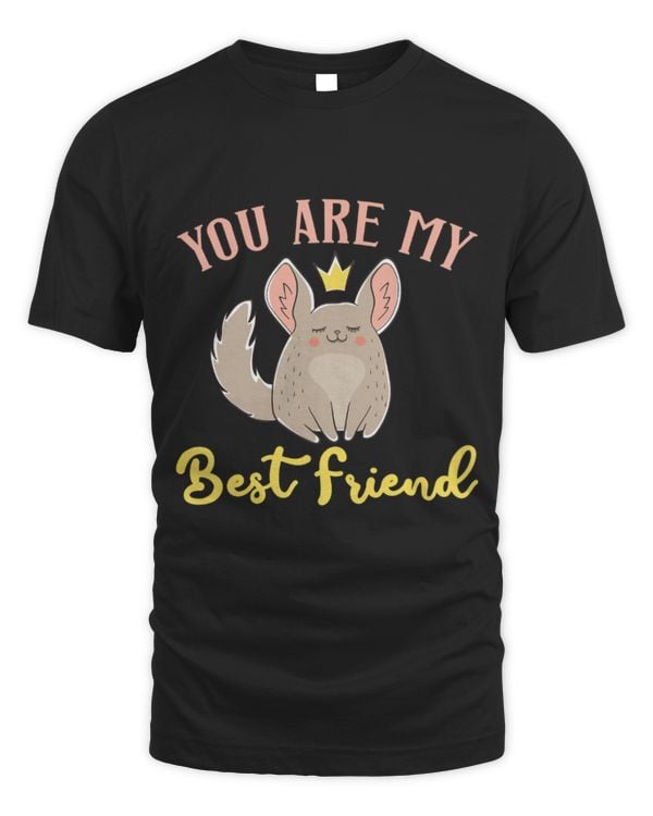 Chinchilla Mammal You Are May Best Friend