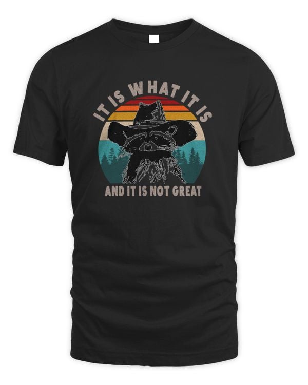 It Is What It Is And It Is Not Great Raccoon