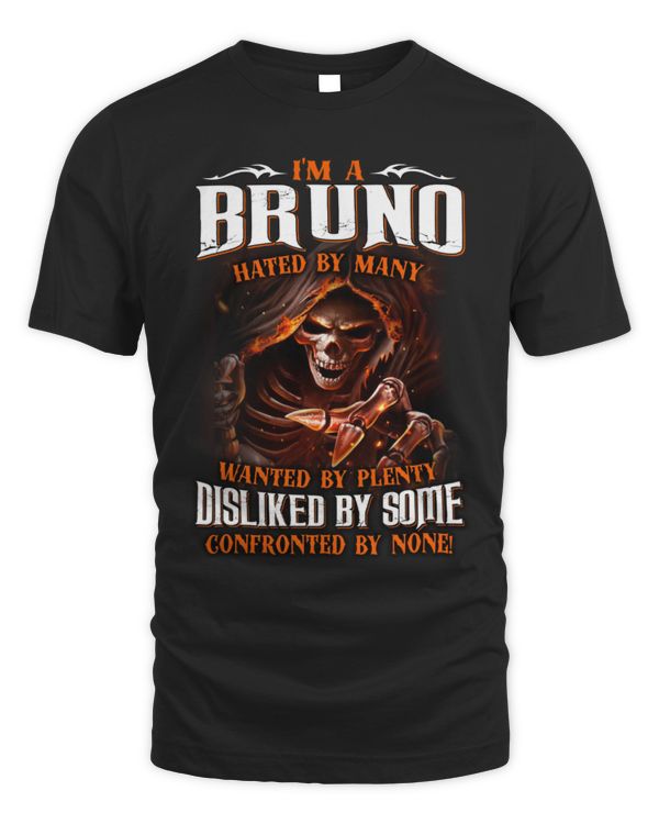 BRUNO-13K1-291-01