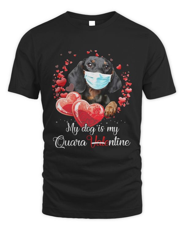 Dachshund Wiener Dog My Quarantine Is My Dog Dog Lover Doxie
