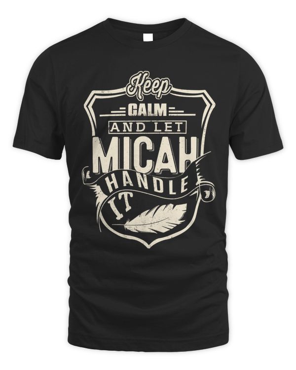 MICAH-TP-11-01