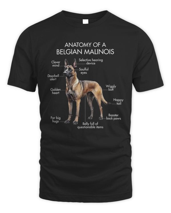 Anatomy Of A Belgian Malinois