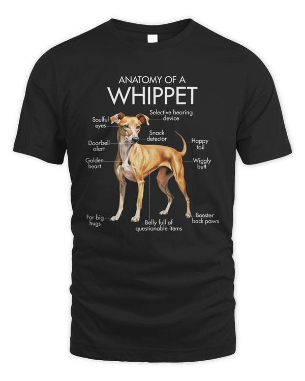Anatomy Of A Whippet
