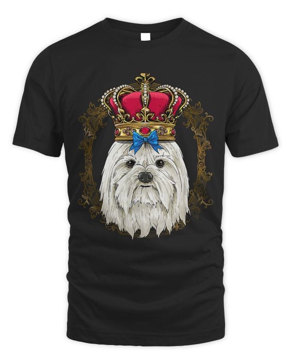 King Maltese Wearing CrownQueen Maltese Dog 298