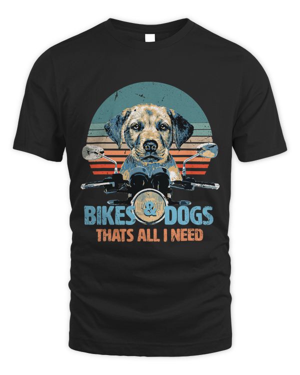 Bikes Dogs Cute Labrador Puppy Driving Motorcycle 195