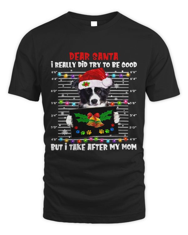 Border Collie Dear Santa I Really Did Try To Be Good But I317