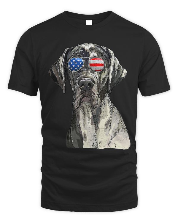 Great Dane Sunglasses American USA Flag 4th Of July Fourth