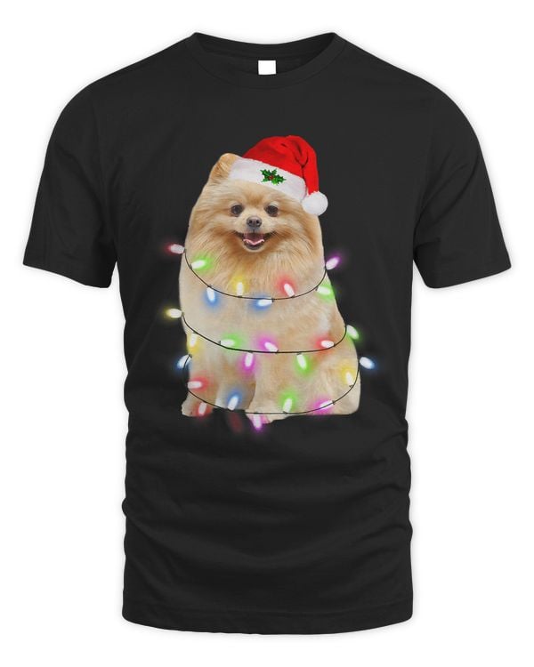 Pomeranian With Christmas Magic Is Silent And Feel It 60