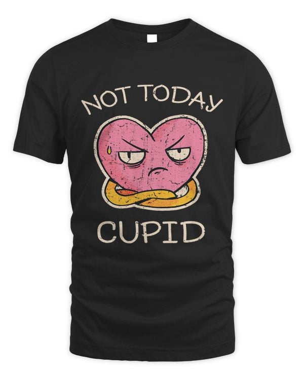 Grumpy Heart Not Today Cupid No Valentine