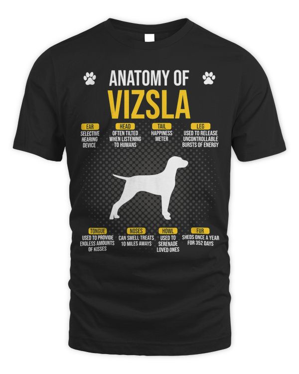 Anatomy Of Vizsla Dog Lover